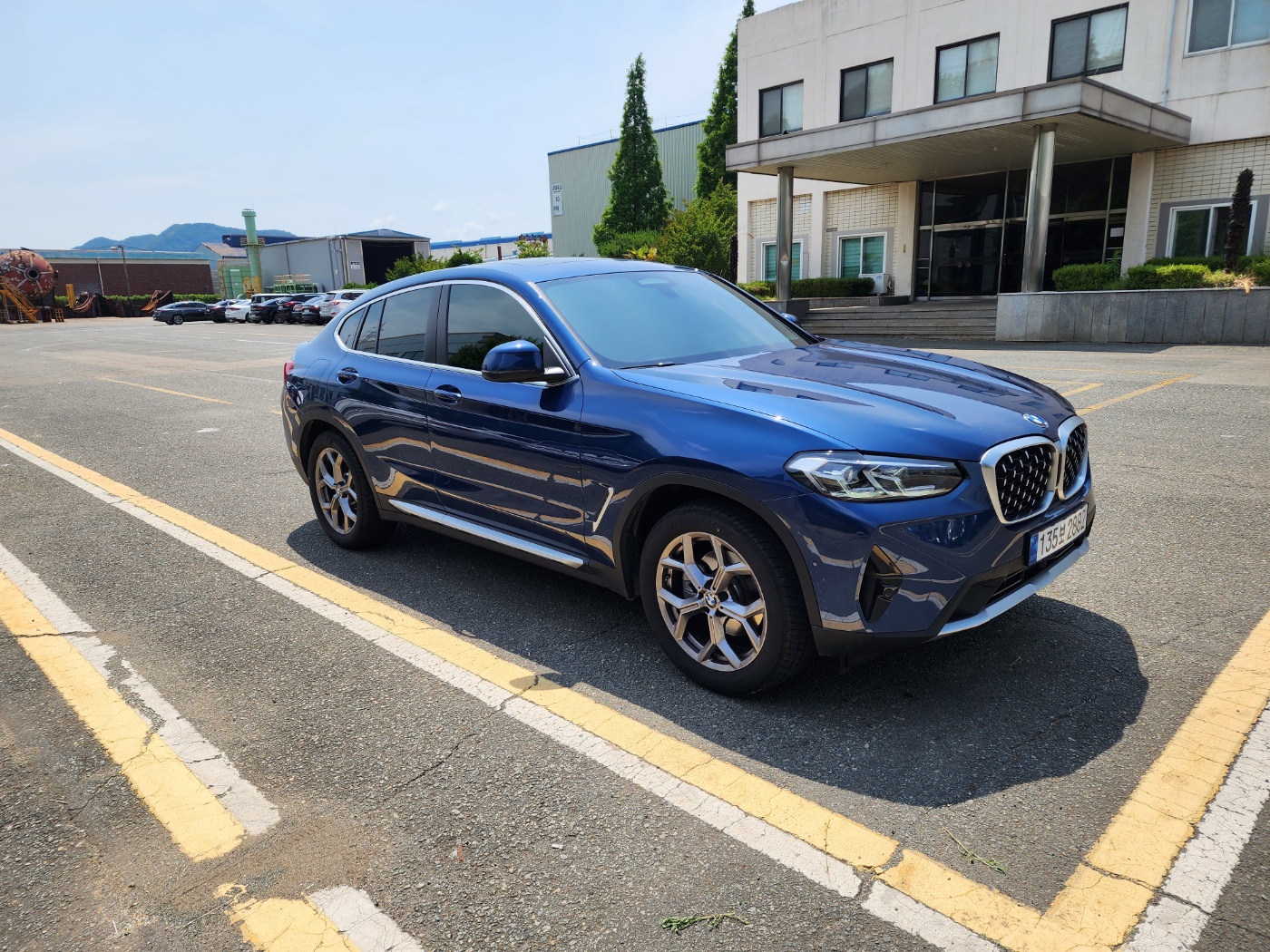 BMW X4 (G02) xDrive 20d xLine