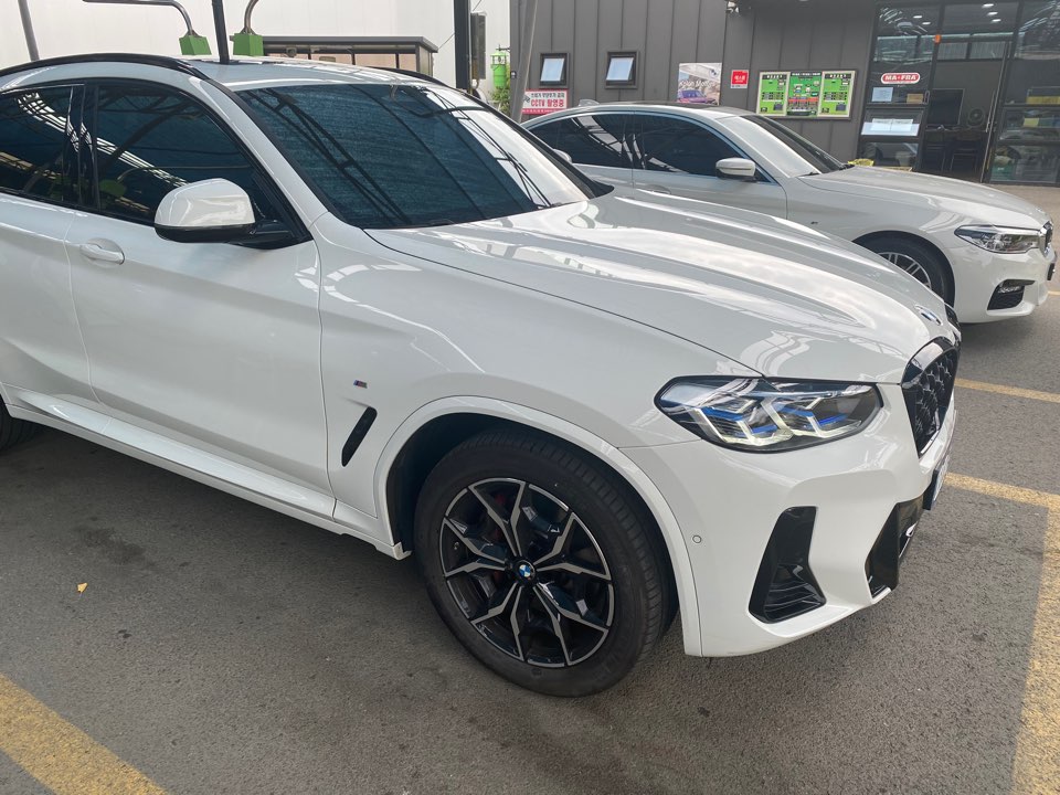 BMW X4 (G02) xDrive 20i M 스포츠 프로